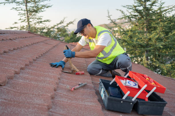 Fast & Reliable Emergency Roof Repairs in Warrensburg, IL